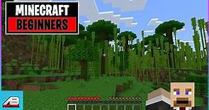 Minecraft Beginners Guide for Parents and Children Nintendo Switch Playstation xBox Bedrock