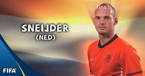 Wesley Sneijder - South Africa 2010