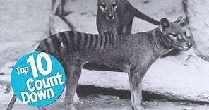 Top 10 Extinct Animals