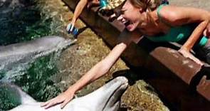 Actress Brie Larson apologizes for petting a dolphin