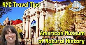 American Museum of Natural History NYC Tickets, Tours, and Planning Tips