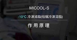 MICOOL-S冷凍減脂（俗稱冷凍溶脂）作用原理