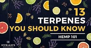 13 Cannabis Terpenes You Should Know
