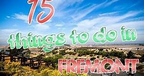 Top 15 Things To Do In Fremont, California