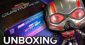 Unboxing Funko Marvel Collector Corps ANT-MAN & the WASP: QUANTUMANIA FUNKO POP Mystery Box