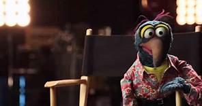 Gonzo's Dating Profile - The Muppets