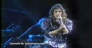 Laura Branigan - "Power Of Love" LIVE, 1988