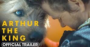 Mark Wahlberg forja una amistad inquebrantable con un perro callejero en el tráiler de Arthur the King