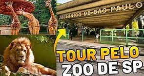 Zoológico de SP - Vista ao Zoológico de São Paulo um dos melhores do mundo