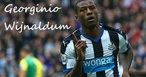 Georginio Wijnaldum ►Skills & Goals ● 15/16 ● Newcastle United ᴴᴰ