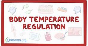 Regulación de la temperatura corporal (termorregulación) | Osmosis