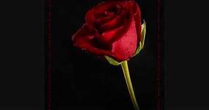 Juan Gabriel - Esta Rosa Roja