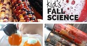 20 Awesome Fall Science Experiments - Little Bins for Little Hands