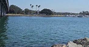 San Diego California, Paradise Point Resort, Mission bay Park I April 2023
