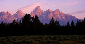 Stay Wild in Jackson Hole