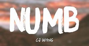 Numb - CJ WANG {Lyrics Video} 🫦