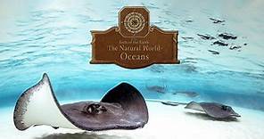 To the Ends of the Earth: The Natural World - Oceans:To the Ends of the Earth: The Natural World - Oceans