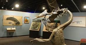 Mesalands Dinosaur Museum - Tucumcari, New Mexico