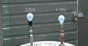 60W Incandescent Lamps - 240V and 110V