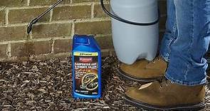 Top 5 Best Termite Killer Review 2024