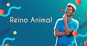 Reino Animal - Brasil Escola