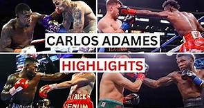 Carlos Adames (22-1) Highlights & Knockouts