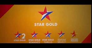 Star Gold Logo (2024)