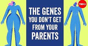 The genes you don't get from your parents (but can't live without) - Devin Shuman