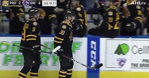 Providence Bruins Jakub Zboril 2018-19 Goal Highlights