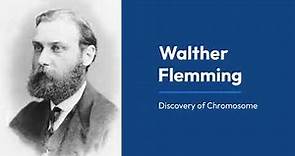 Walther Flemming and Discovery of Chromosome | Chromosome Structure