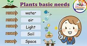 Plants Need | Basic Needs for a Plant's Growth | What does a Plant Need to grow | Plant basic needs