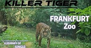 Zoo Frankfurt 4k | Frankfurter Zoo | Aquarium Frankfurt Zoo |Best places to visit Frankfurt Germany