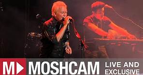 Icehouse - Hey Little Girl (Live in Sydney) | Moshcam