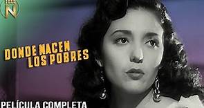 Donde Nacen Los Pobres (1950) | Tele N | Película Mexicana Completa