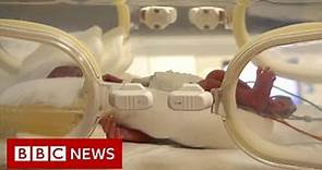 Woman gives birth to nine babies - BBC News