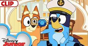 Bluey Season 3 Episode 22 "Whale Watching" Episode Clip | @Disney | @BlueyOfficialChannel