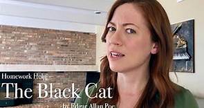 THE BLACK CAT by Edgar Allan Poe Summary & Analysis