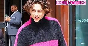 Kylie Jenner's New Boyfriend Timothee Chalamet Rushes Back To His Trailer To Call Her While On Set