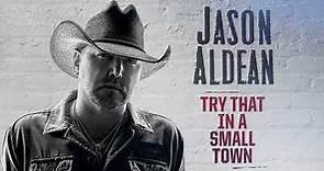 Jason Aldean - Try That In A Small Town (Official Audio)