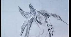 Como dibujar la cabeza de un caballo facil