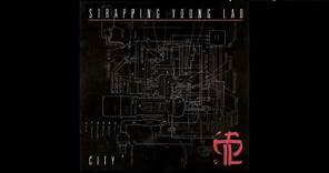 Strapping Young Lad – Spirituality