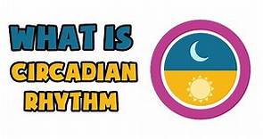 What is Circadian Rhythm | Explained in 2 min