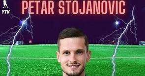 Petar Stojanović Skills Goals&Assits