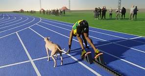Usain Bolt VS Fastest Dog