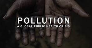 Pollution: a global public health crisis