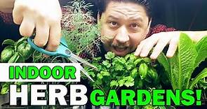 Indoor Herb Gardens - The Definitive Guide For Beginners