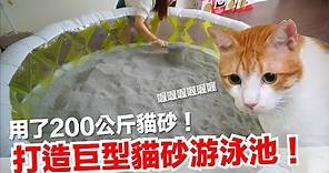 用200公斤貓砂！打造巨大貓砂游泳池！好味小姐開心新系列【傻眼貓咪】EP1