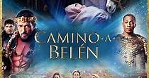 Camino a Belén - película: Ver online en español