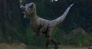 Velociraptor in Jurassic Park