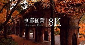 【京都の紅葉名所】南禅寺と水路閣を訪ねて - Kyoto in 8K